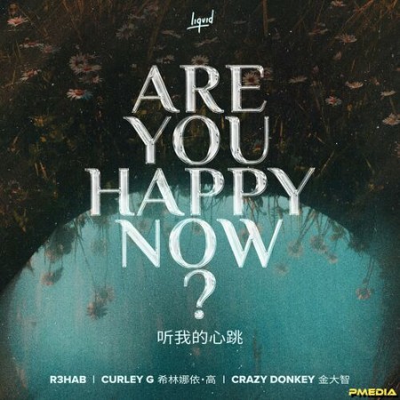 R3HAB, 希林娜依高, Crazy Donkey - Are You Happy Now (2024)