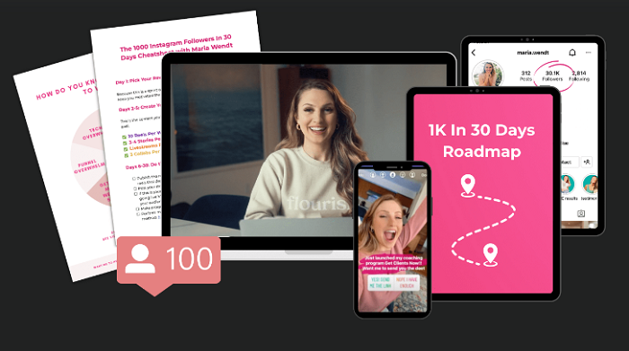 Maria Wendt – The 1K Instagram Followers In 30 Days Challenge