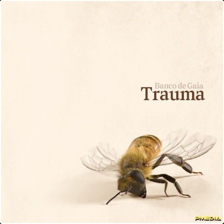 Banco De Gaia - Trauma (2024) [24Bit-96kHz] FLAC  A7612adcd55b57a7fbab0376cf846b83