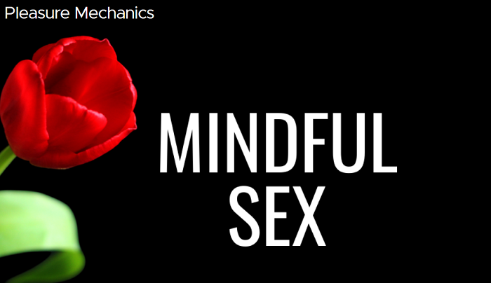 Plesure Mechanics – Mindful Sex Download 2024