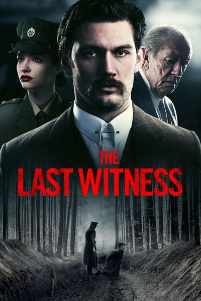 The Last Witness (2018) 720p BluRay-LAMA 6affaccb61985dad0d0fe7af1179abb8