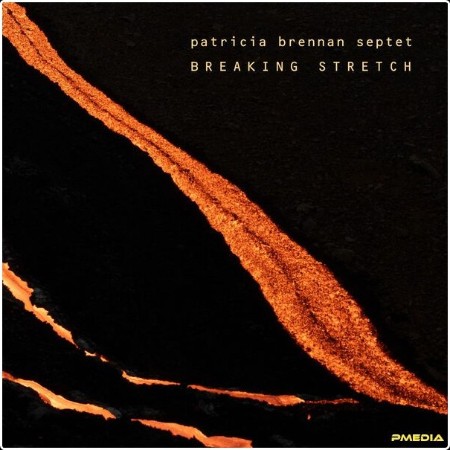 Patricia Brennan - Breaking Stretch (2024) [24Bit-96kHz] FLAC  F4e5deb47011d8a17f87313afa1c5d29