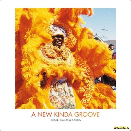 The Wild Magnolias - A New Kinda Groove - Bonus Tracks and Remixes (2024) [24Bit-96kHz] FLAC  F01d2f66702daf84013d38e52b73f887