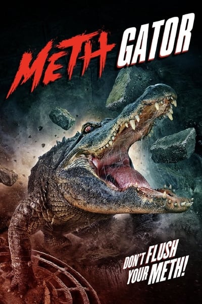 Methgator 2023 German AC3 720p WEBRip H265-LDO