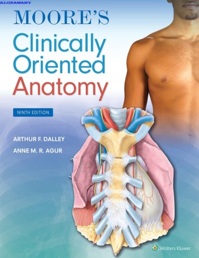 Moore's Clinically Oriented Anatomy - II Arthur F. Dalley C68e4d6e3367cd5c8ea6ca2d512887c9