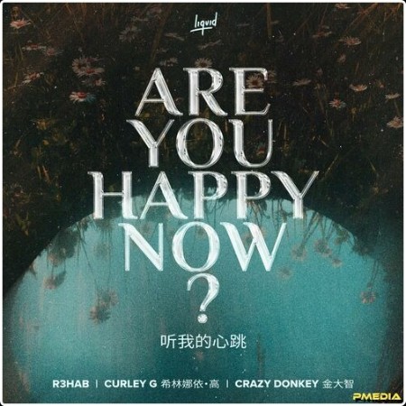 R3HAB - Are You Happy Now (2024) Mp3 320kbps  79a43b9b5c8735bd8a1a03aa70be2ae5