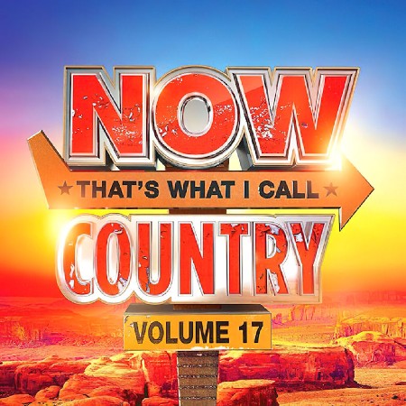 VA - NOW That's What I Call Country Vol. 15 (US) 2024