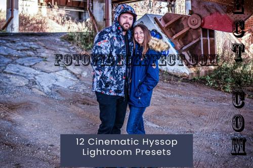 12 Cinematic Hyssop Lightroom Presets - 9W5S3NJ