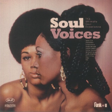 VA - Soul Voices 2024