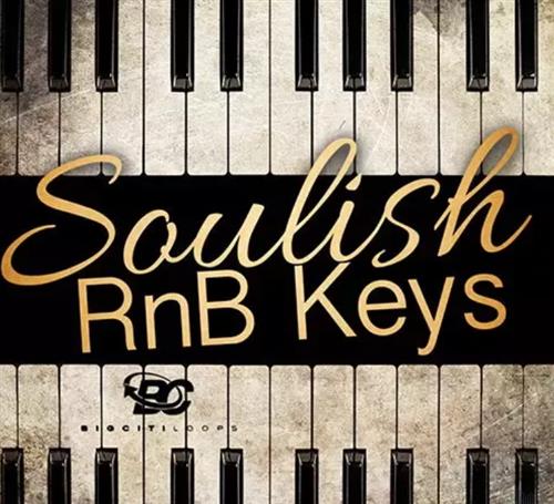 Big Citi Loops Soulish RnB Keys WAV F0c7e360d078166001d6cc311d2ec837