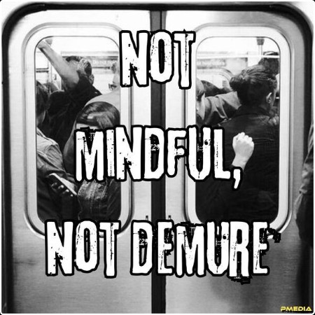 Various Artists - not mindful not demure (2024) Mp3 320kbps  170c7760fefa675acb87a101cee6407f