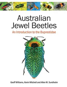 Australian Jewel Beetles An Introduction to the Buprestidae