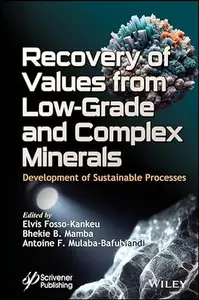 Recovery of Values from Low-Grade and Complex Minerals Development of Sustainable Processes