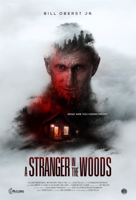 A Stranger in The Woods (2024) 1080p WEBRip - SMILEY Ea447ab5966398c29d8820e6b937b99e