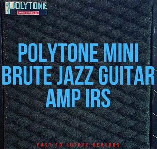 PastToFutureReverbs Polytone Mini Brute Jazz Guitar Amp IR's! Impulse Responses (IRs) WAV