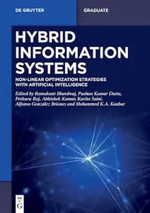 Hybrid Information Systems Non-Linear Optimization strategie with Artificial Intelligence (De Gruyter Textbook)