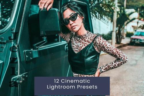 12 Cinematic Lightroom Presets - 52F9JD7