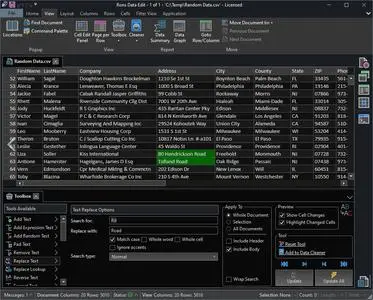 Rons Data Edit Pro 2024.9.5.1108 Portable