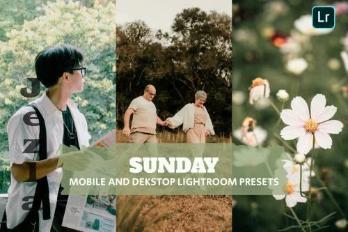 Sunday Lightroom Presets Dekstop and Mobile JQD4D7R