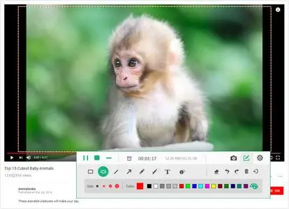 Apeaksoft Screen Recorder 2.3.22 Multilingual (x64)