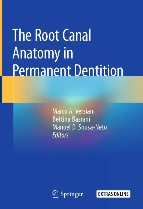 The Root Canal Anatomy in Permanent Dentition