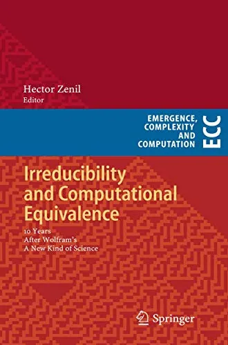 Irreducibility and Computational Equivalence 10 Years After Wolfram’s A New Kind of Science