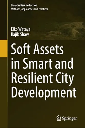 Soft Assets in Smart and Resilient City Development