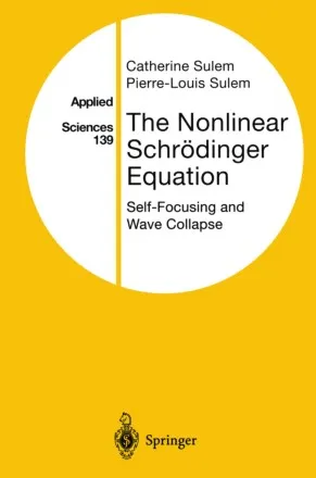 The Nonlinear Schrödinger Equation Self-Focusing and Wave Collapse