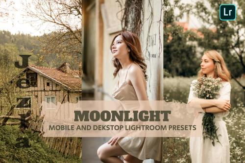 Moonlight Lightroom Presets Dekstop and Mobile - EFSGCG5