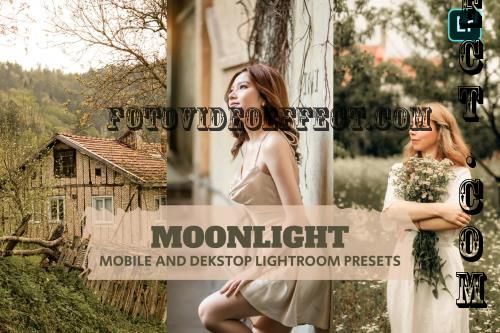 Moonlight Lightroom Presets Dekstop and Mobile - EFSGCG5