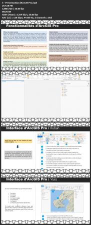 ArcGIS Pro : Devenir un expert SIG avec le logiciel  (A to Z)