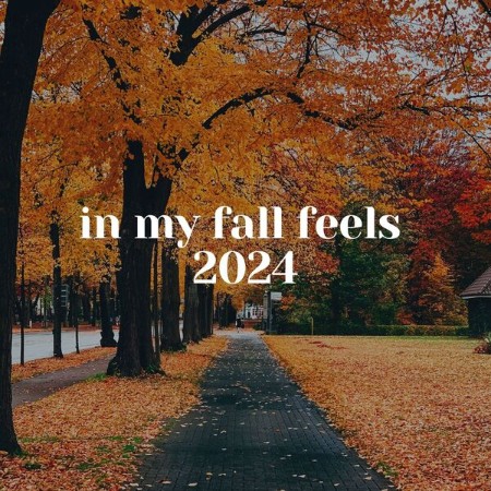 VA - in my fall feels 2024 2024