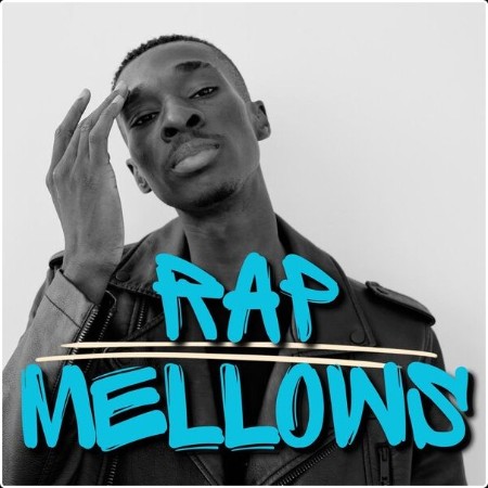 Various Artists - Rap Mellows (2024) Mp3 320kbps  2bfb2ff4fd7fd746abe95df48a34d437