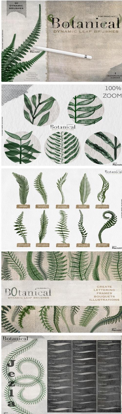 Botanical Greenery Box for Procreate - 16501081