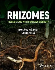 Rhizomes Hidden Stems with Unknown Diversity