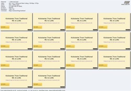 From Traditional ML to  LLMs