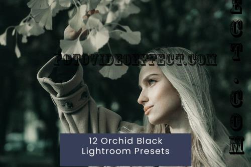 12 Orchid Black Lightroom Presets - 8LQ65DU