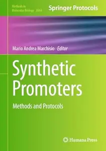 Synthetic Promoters