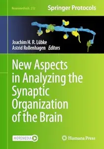 New Aspects in Analyzing the Synaptic Organization of the Brain