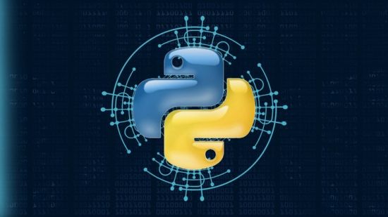 Python Programming: A Step-by-Step Programming Course (2024)