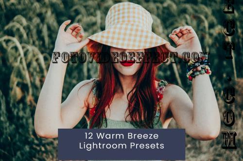 12 Warm Breeze Lightroom Presets BXY2Z8E