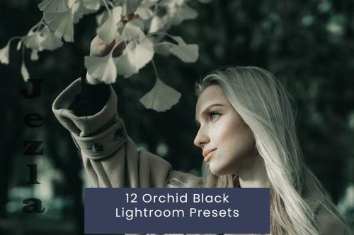 12 Orchid Black Lightroom Presets - 8LQ65DU