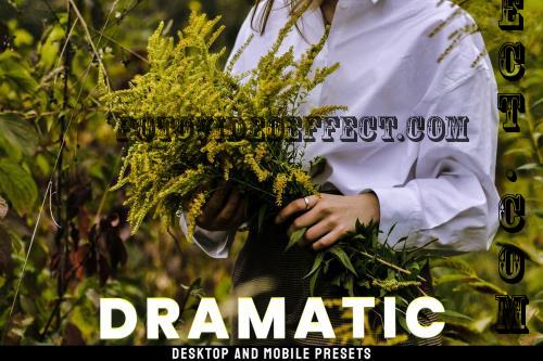 Dramatic - Desktop and Mobile Presets E9RJS8D