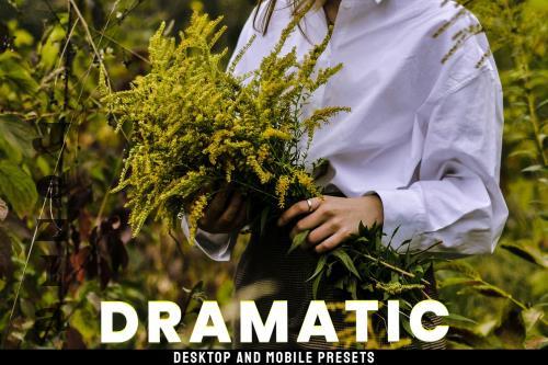 Dramatic - Desktop and Mobile Presets E9RJS8D