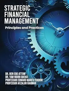 Strategic Financial Management Principles and Practices