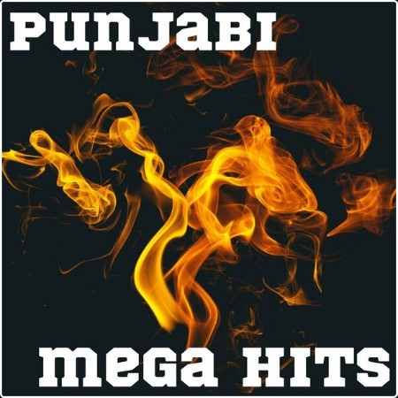 Various Artists - Punjabi Mega Hits (2024) Mp3 320kbps  3e255bd5e4af8f233605248e90681deb