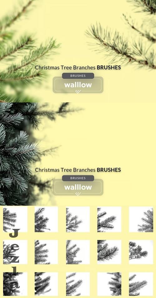 Christmas Tree Branch Digital Brush - 284364929