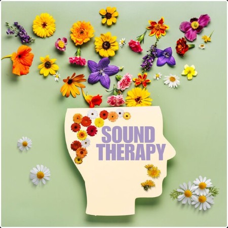 Various Artists - Sound Therapy (2024) Mp3 320kbps  1519fd85a83673a7cd91c0d98f7b481b