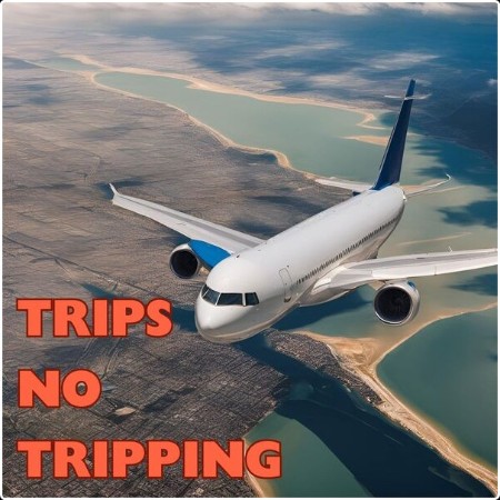 Various Artists - trips no tripping (2024) Mp3 320kbps  19ac1a8fbf0cfd7623c10ce0ea65b98c