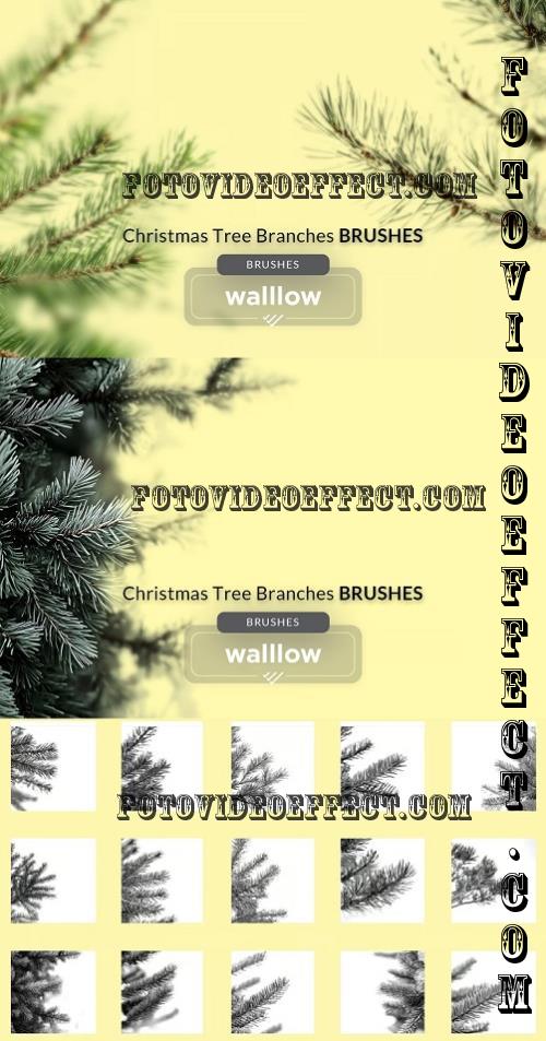 Christmas Tree Branch Digital Brush - 284364929